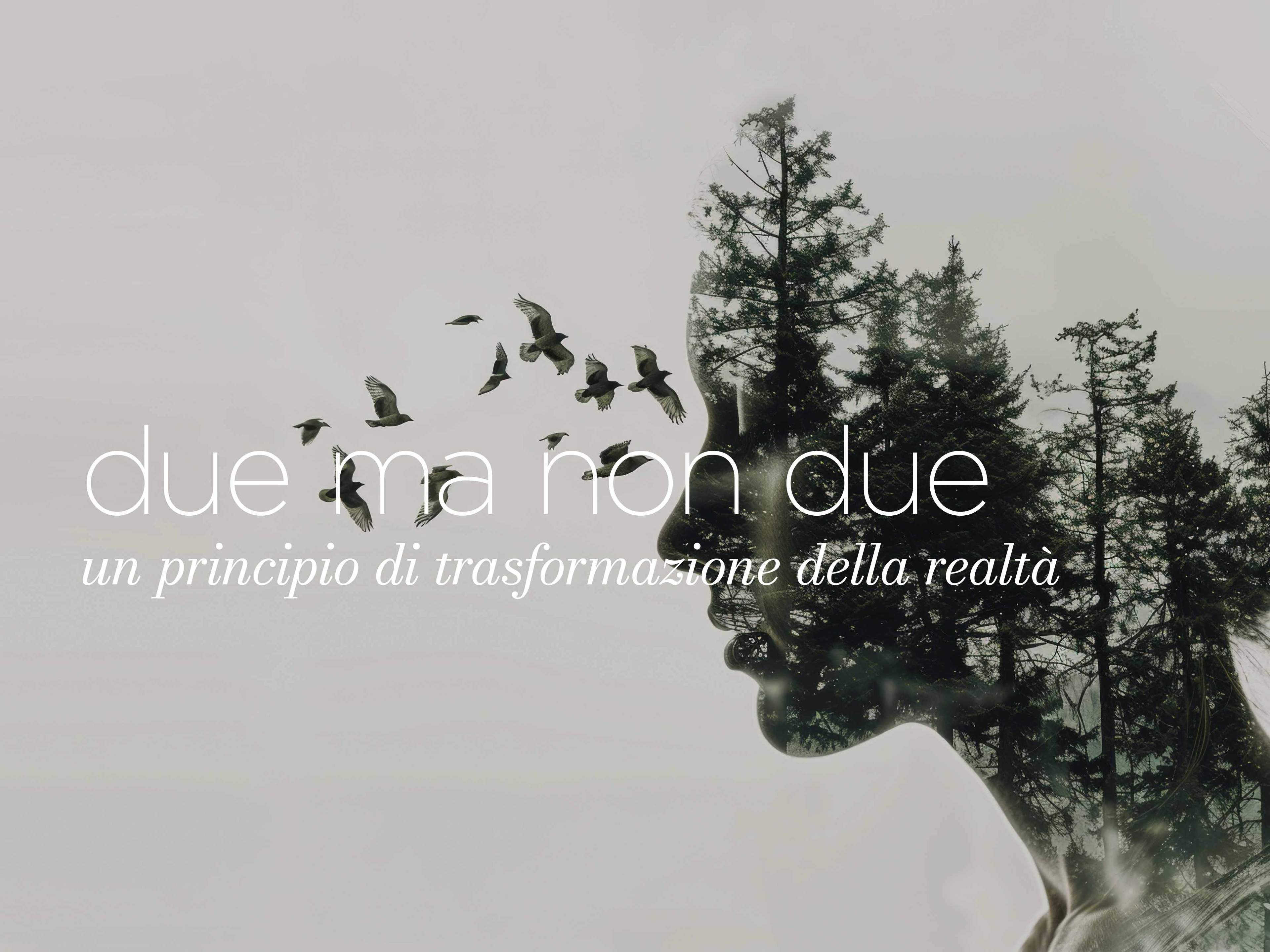 Due ma non due